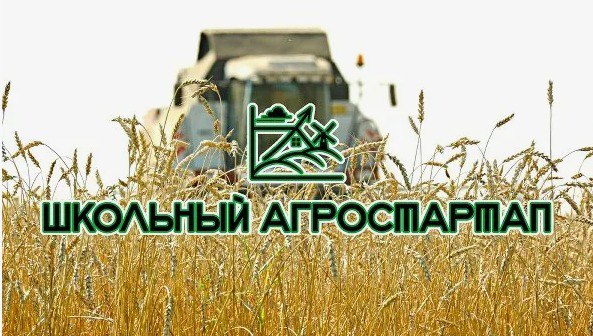 Внимание! Школьный агростартап.