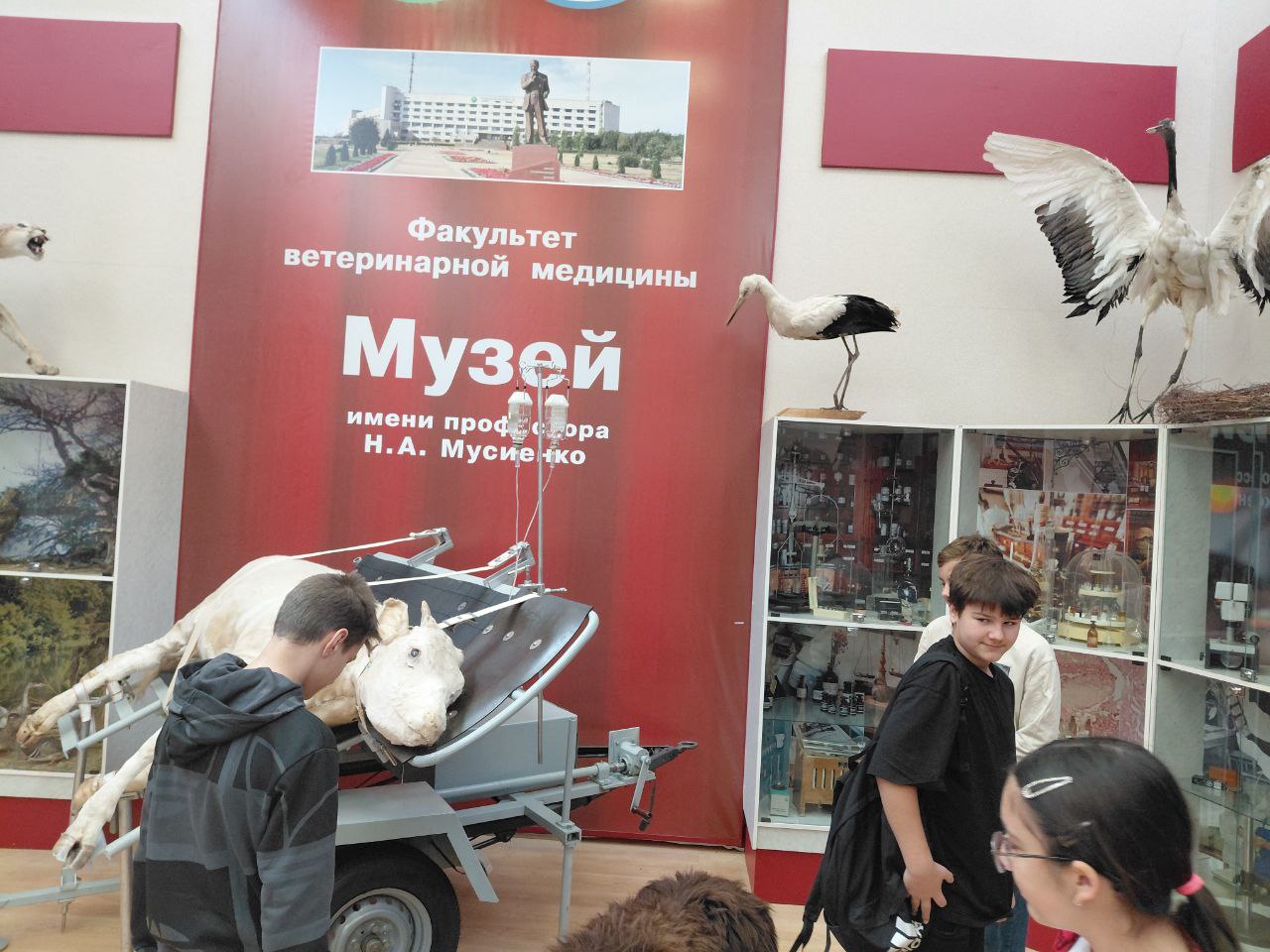 Экскурсия в Белгородский ГАУ.